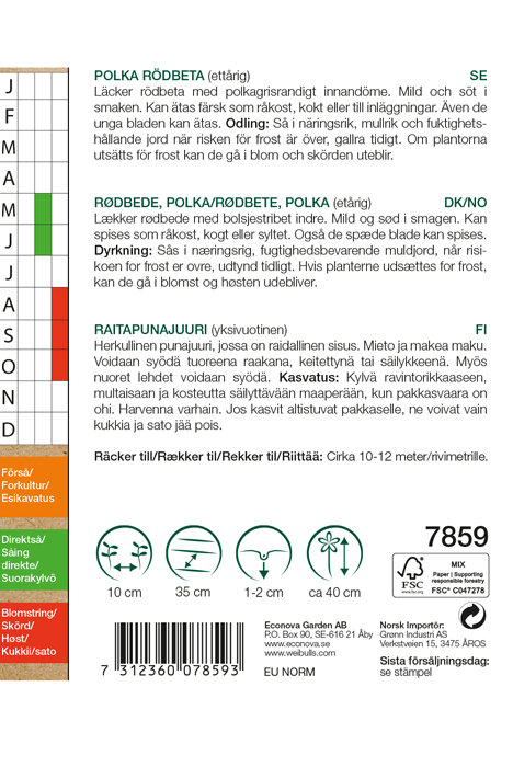 Rødbete polka økologisk - Chioggia